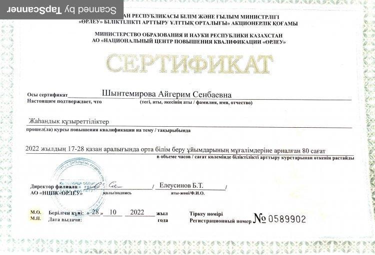 Шынтемирова Айгерим