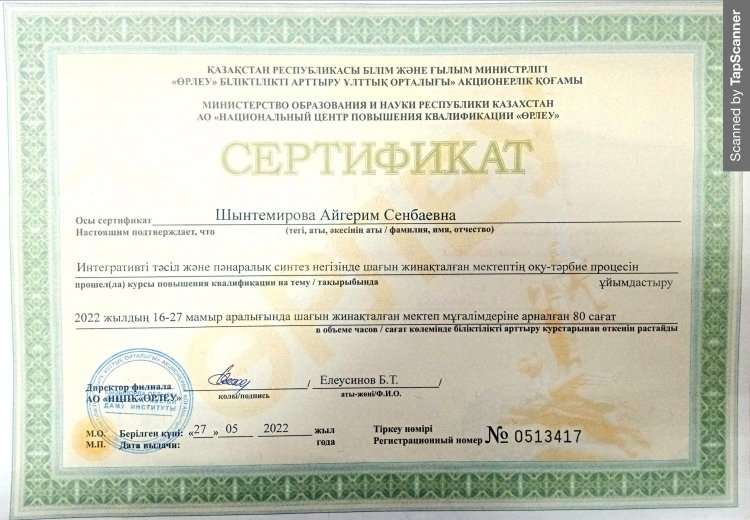 Шынтемирова Айгерим
