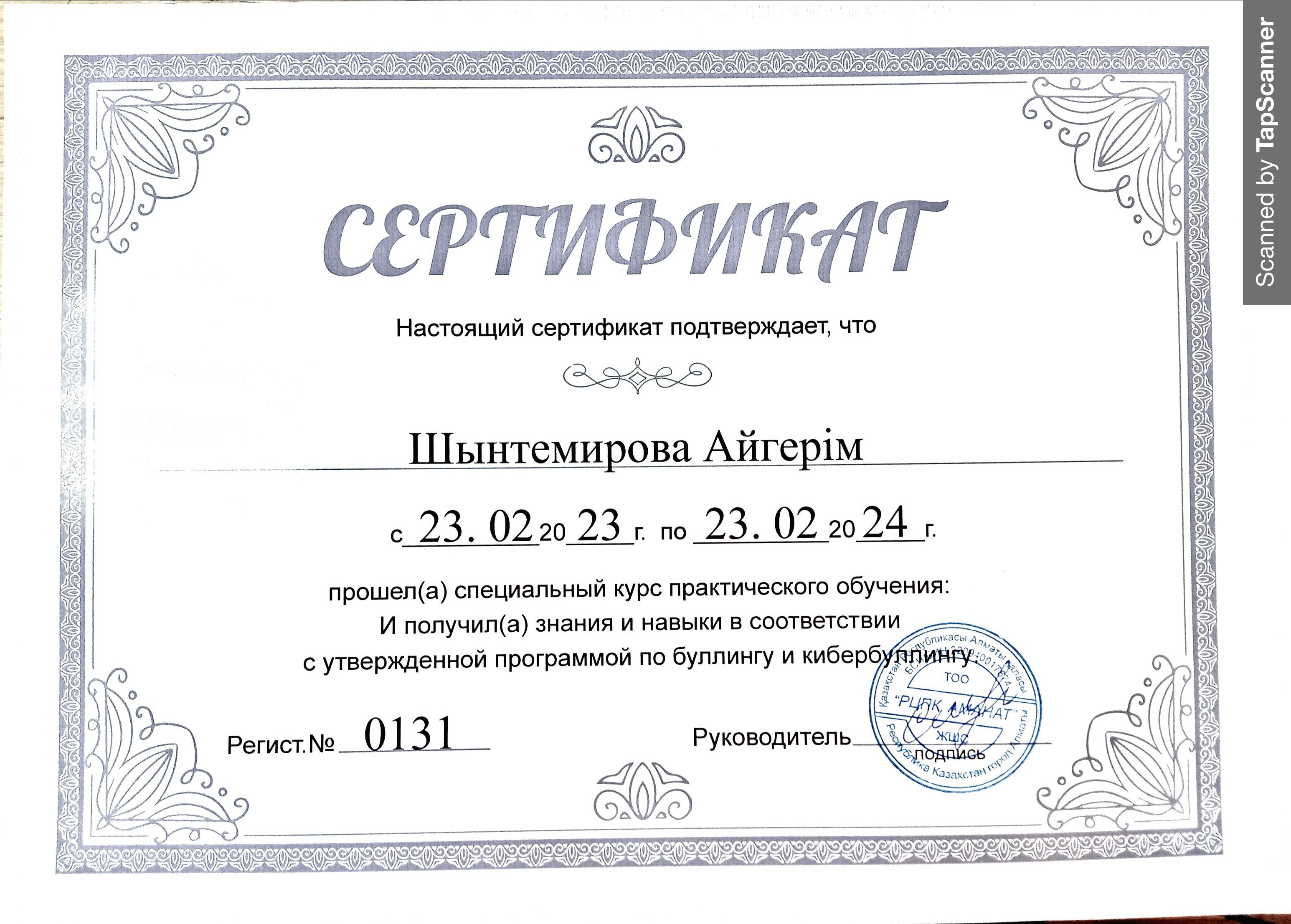 Шынтемирова Айгерим